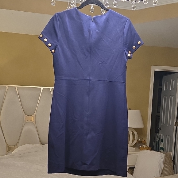 Cynthia Steffe Navy Mini Dress with Gold Studs - Picture 5 of 13